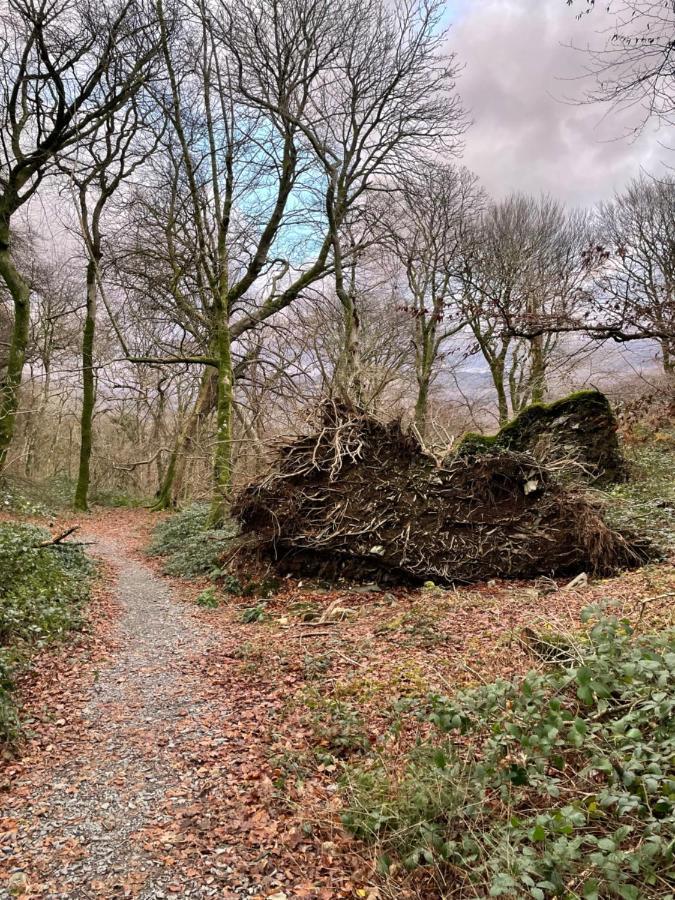 Snowdonia Holidays Caravan Hire - Aberdunant Park - 111 Silver Birch Портмадог Экстерьер фото